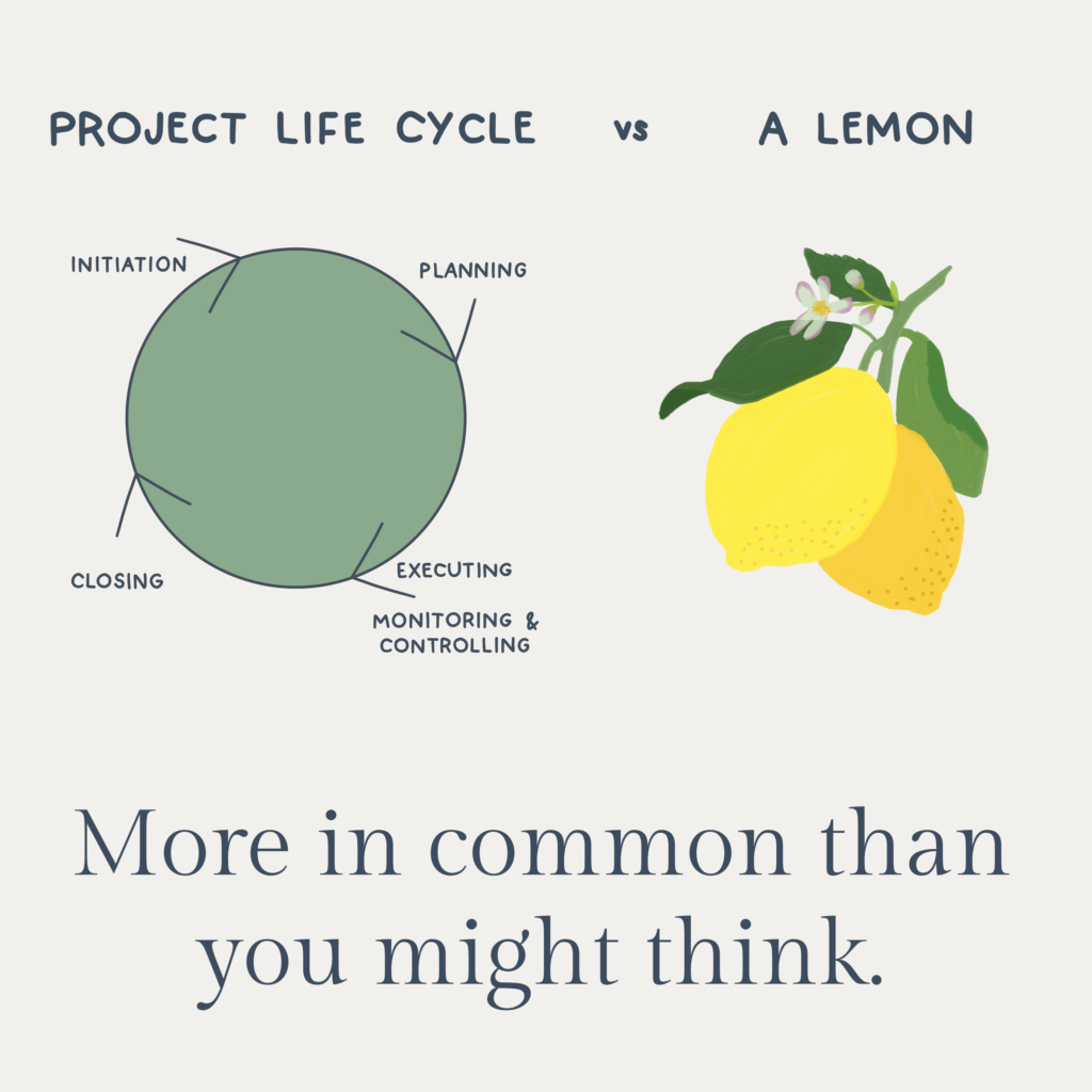 Project Life Cycle comparison to how a lemon grows on a branch.